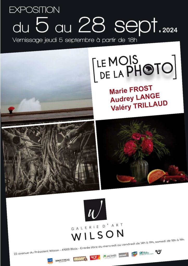 Le mois de la photo  à la Galerie d'Art Wilson