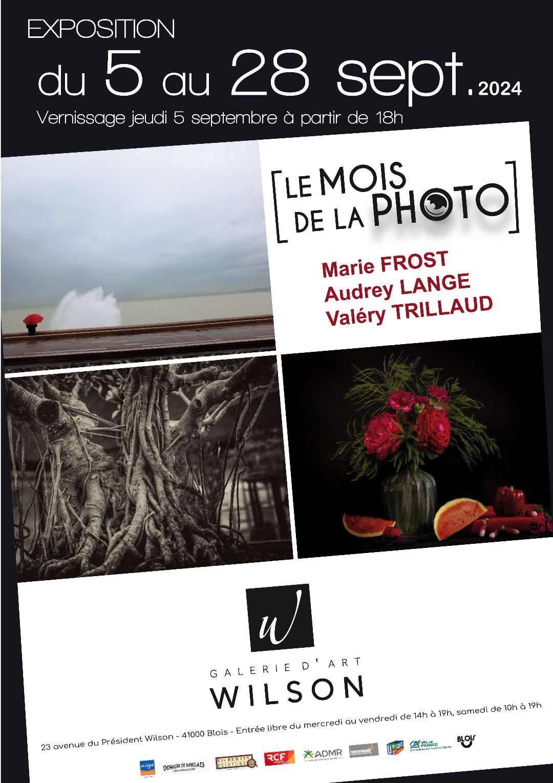 Le mois de la photo à la Galerie d'Art Wilson