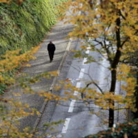 Le promeneur, Blois 