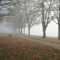 Matin automnal, Blois 