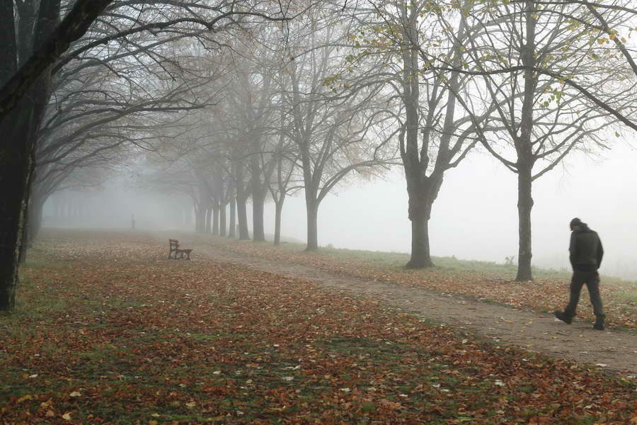 Matin automnal, Blois