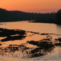 Hommage à la Guyane, Chaumont sur Loire 