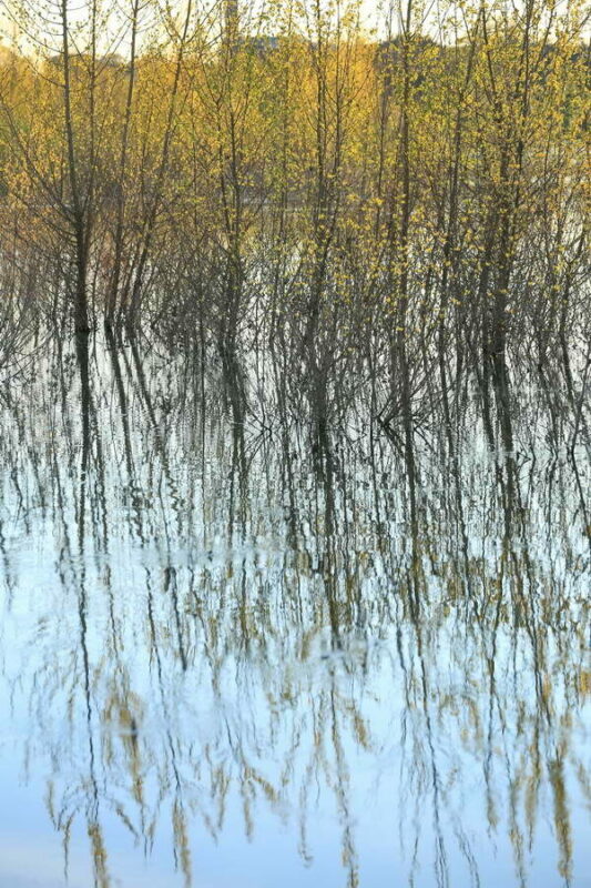 Sur les rives de Loire 1