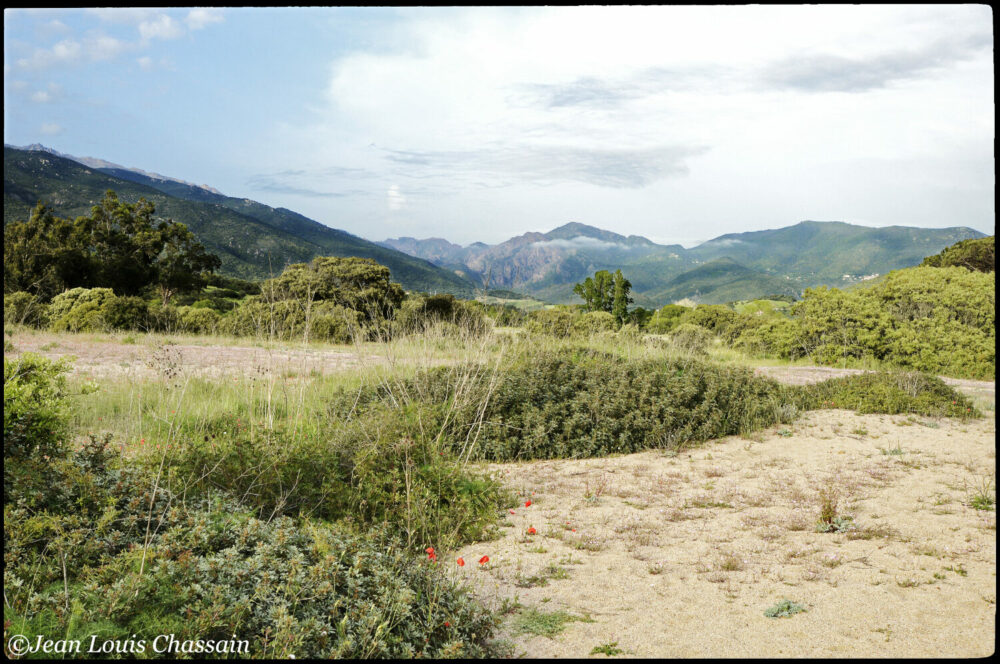 Corse estuaire du Barracci