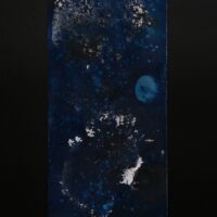 Cyanotype 0006 