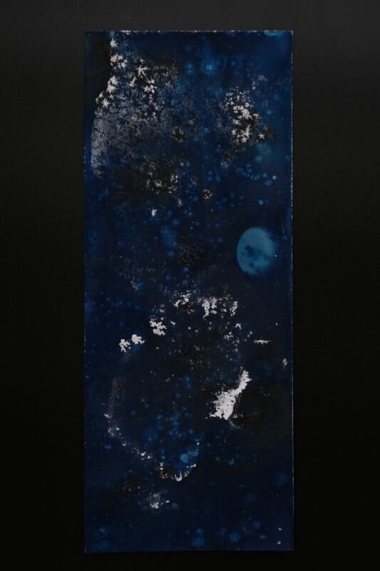 Cyanotype 0006